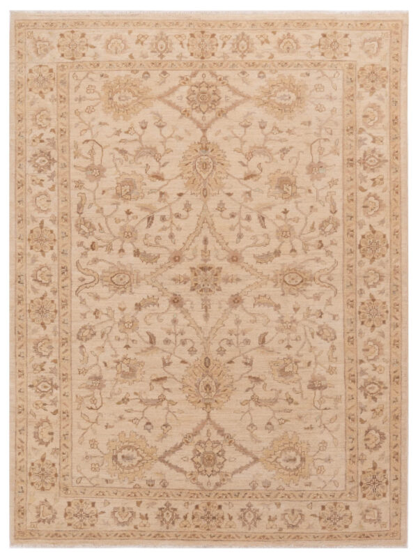 112523 6x8 Transitional Ivory